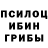 Псилоцибиновые грибы Cubensis Paul Wyand