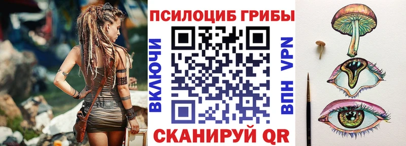 Купить где  Боровичи  Галлюциногенные грибы Cubensis 