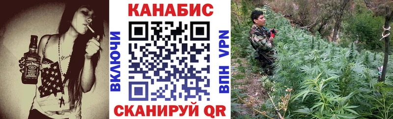 Канабис THC 21%  Купить  Боровичи 